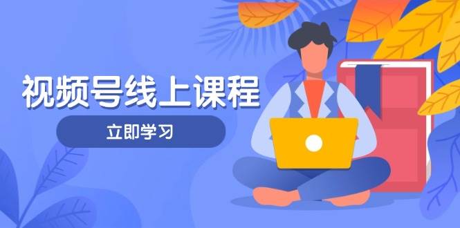 视频号实战课程，轻IP打造与运营技巧，掌握核心方法与策略抖音-小淇云库-网赚副业-项目拆解-涨幅-刷单-点赞-播放-视频号-小红书-全业务小淇云库