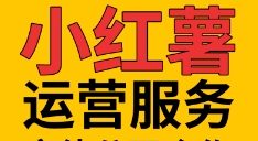 小红薯全业务赋能，你想要的我们都有抖音-小淇云库-网赚副业-项目拆解-涨幅-刷单-点赞-播放-视频号-小红书-全业务小淇云库