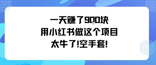 一天挣了9张用小红书做这个项目太牛了，空手套小淇云库-创业网-网赚副业-网创副业-项目拆解-技术类创业资源网-副业网-免费资源下载小淇云库
