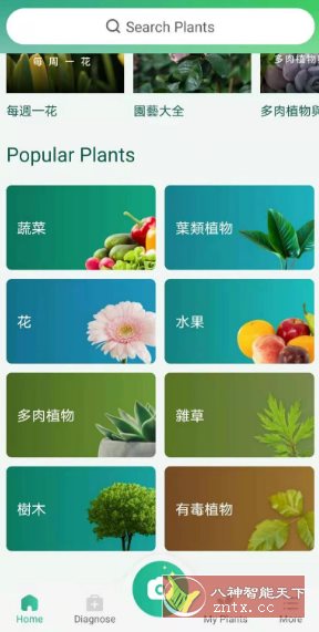 PictureThis 植物识别v5.12.0专业版小淇云库-创业网-网赚副业-网创副业-项目拆解-技术类创业资源网-副业网-免费资源下载小淇云库