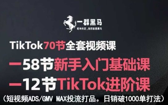 TikTok全套视频课，新手入门+进阶课，短视频ADS-GMV MAX投流打品，日销破1000单打法小淇云库-创业网-网赚副业-网创副业-项目拆解-技术类创业资源网-副业网-免费资源下载小淇云库