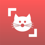 Cat Scanner 猫猫鉴定器v22.2.21-G高级版小淇云库-创业网-网赚副业-网创副业-项目拆解-技术类创业资源网-副业网-免费资源下载小淇云库