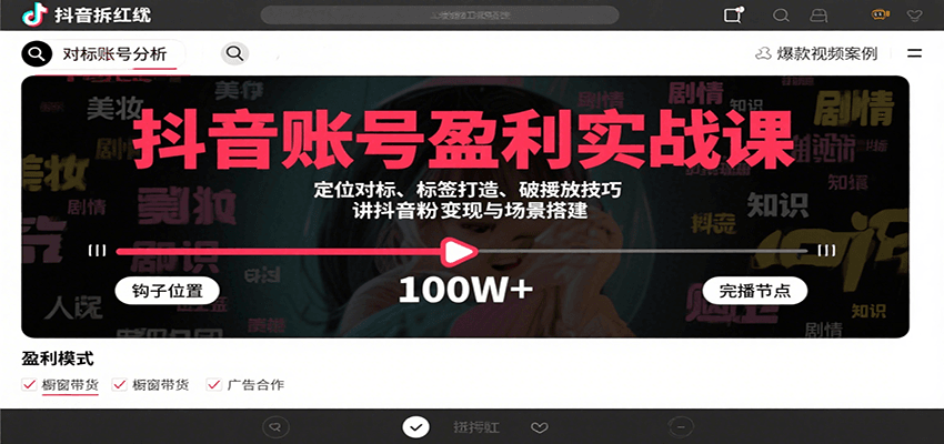 抖音账号盈利实战课，定位对标、标签打造、破播放技巧，讲涨粉变现与场景搭建小淇云库-创业网-网赚副业-网创副业-项目拆解-技术类创业资源网-副业网-免费资源下载小淇云库