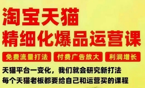 淘宝天猫精细化爆品运营课，免费流量打法-付费广告放大-利润增长-三大核心痛点，一次全部解决小淇云库-创业网-网赚副业-网创副业-项目拆解-技术类创业资源网-副业网-免费资源下载小淇云库