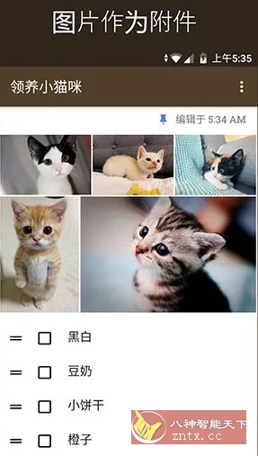 WeNote微笔记 v6.41纯净版小淇云库-创业网-网赚副业-网创副业-项目拆解-技术类创业资源网-副业网-免费资源下载小淇云库