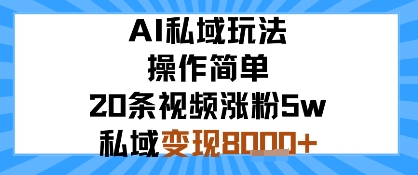 AI私域玩法，操作简单，20条视频涨粉5w，私域变现8k+小淇云库-创业网-网赚副业-网创副业-项目拆解-技术类创业资源网-副业网-免费资源下载小淇云库