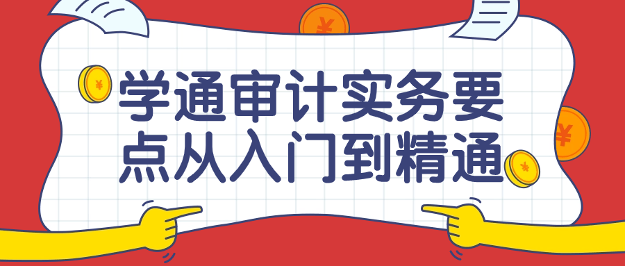 学通审计实务要点从入门到精通课小淇云库-创业网-网赚副业-网创副业-项目拆解-技术类创业资源网-副业网-免费资源下载小淇云库