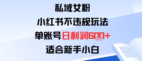 私域女粉：小红书平台不违规玩法单账号日利润6张+适合新手小白小淇云库-创业网-网赚副业-网创副业-项目拆解-技术类创业资源网-副业网-免费资源下载小淇云库