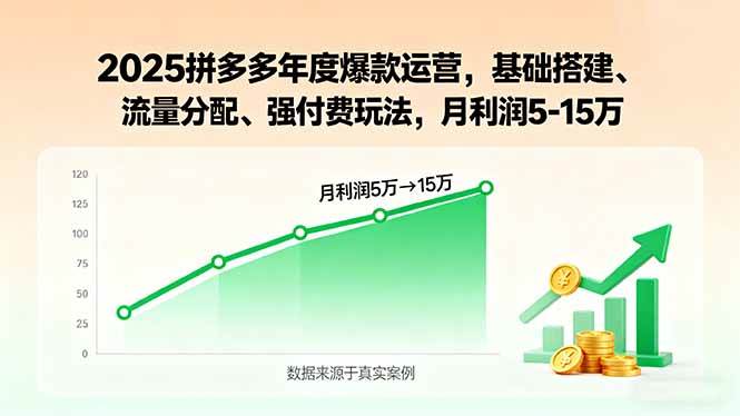 （15973期）2025拼多多年度爆款运营，基础搭建、流量分配、强付费玩法，月利润5-15万小淇云库-创业网-网赚副业-网创副业-项目拆解-技术类创业资源网-副业网-免费资源下载小淇云库