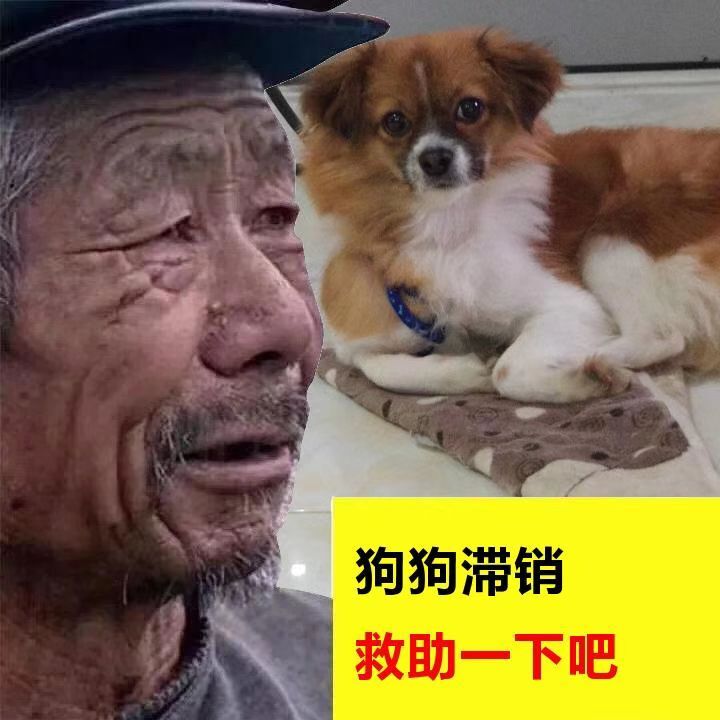 恶搞网红大爷货物滞销生成图片小淇云库-创业网-网赚副业-网创副业-项目拆解-技术类创业资源网-副业网-免费资源下载小淇云库