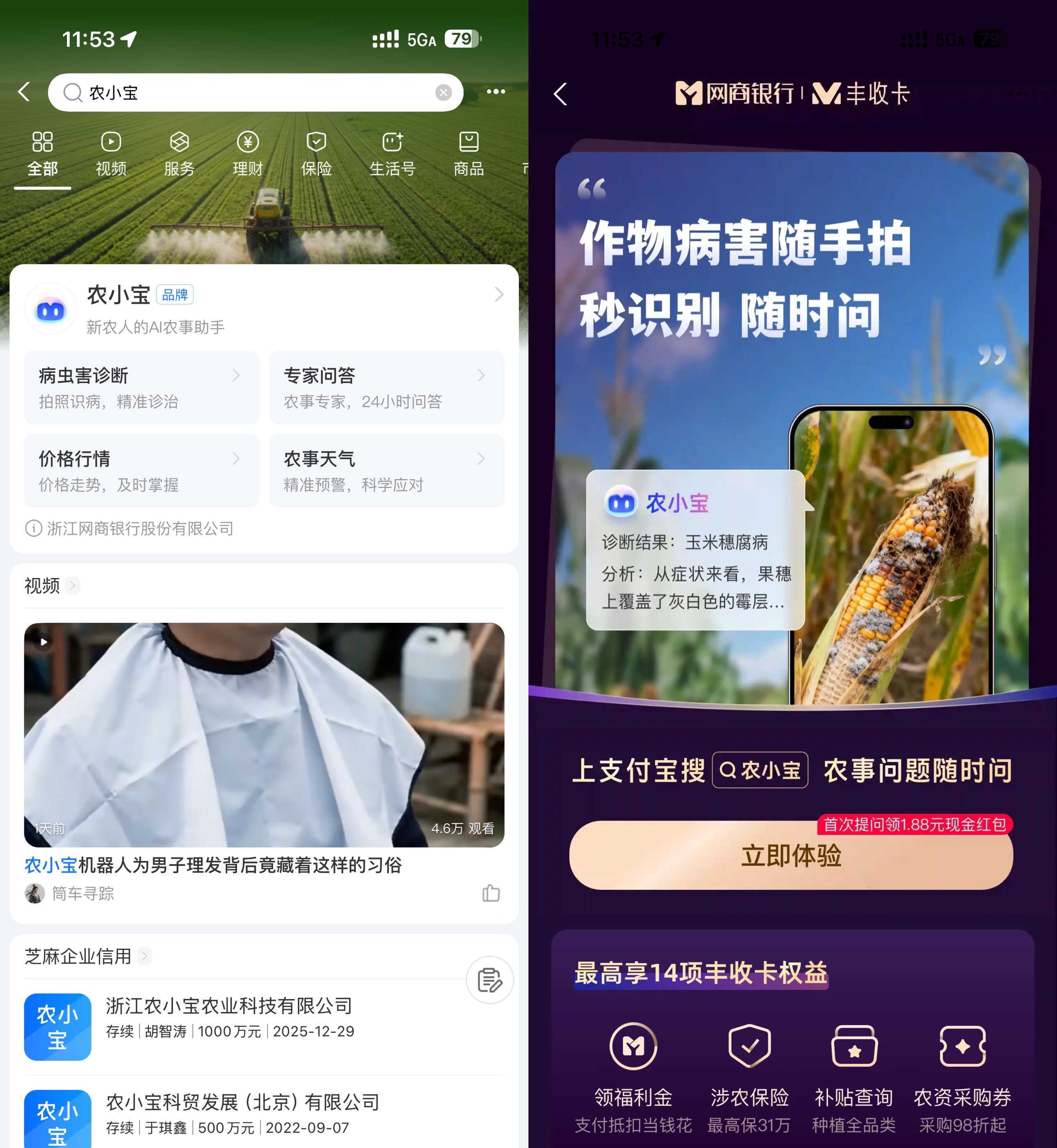 支付宝农小宝首次提问得1.88亓 支付宝农小宝首次提问得1.88亓