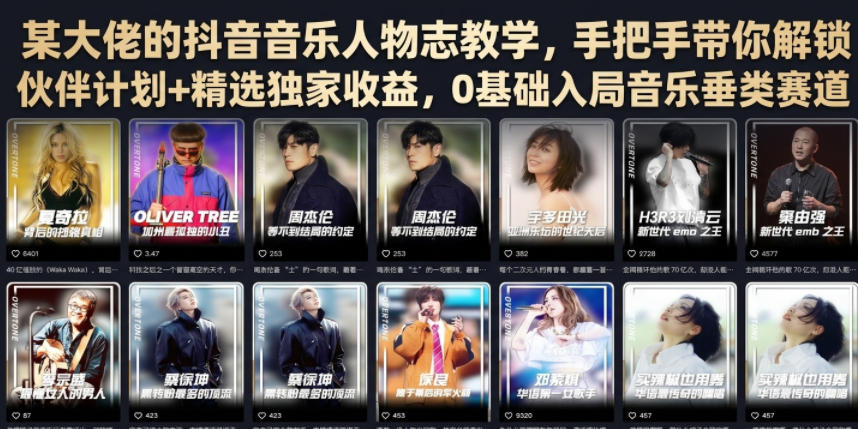 某大佬的抖音音乐人物志教学,手把手带你解锁伙伴计划+精选独家收益,0基础入局音乐垂类赛道-荆楚AI