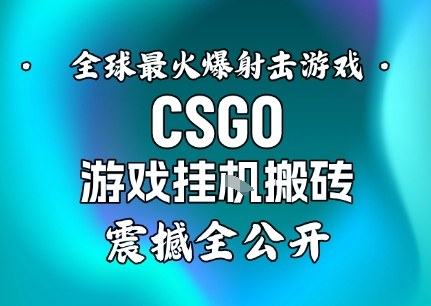 【年底大揭秘】基于全球最火爆的射击CSGO游戏挂G搬砖，日入5张+，震撼公开小淇云库-创业网-网赚副业-网创副业-项目拆解-技术类创业资源网-副业网-免费资源下载小淇云库