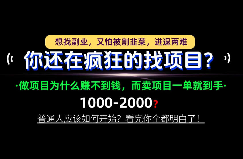 你还在疯狂的找项目？别傻了！卖项目才是真正的一本万利！怎么做，看完你全都明白！【揭秘】-荆楚AI