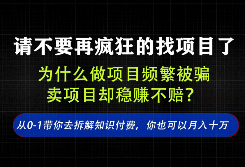 找项目?别傻了!卖项目才是真的一本万利!看完你全都懂了【揭秘】-荆楚AI