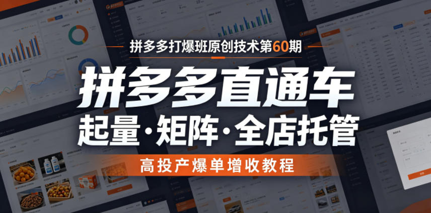 拼多多打爆班原创技术第60期,拼多多直通车,起量・矩阵・全店托管,高投产爆单增收教程-荆楚AI