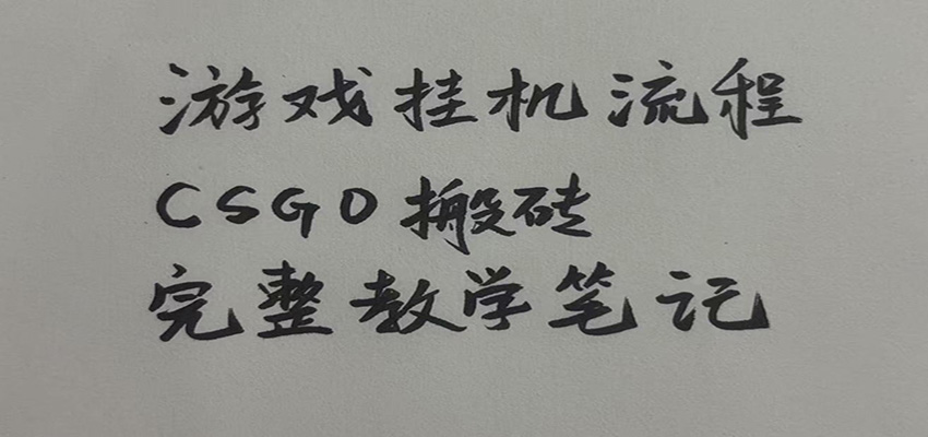 游戏挂机全流程笔记分享，CSGO游戏搬砖，小白看了当天学会见收益-荆楚AI