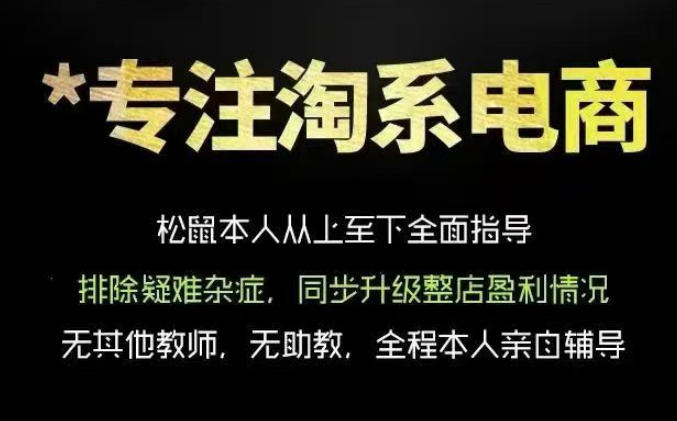 松鼠会电商VIP课程，从基础布局到高阶优化，助你掌握淘宝运营逻辑，提升店铺流量与转化(更新0815)-荆楚AI