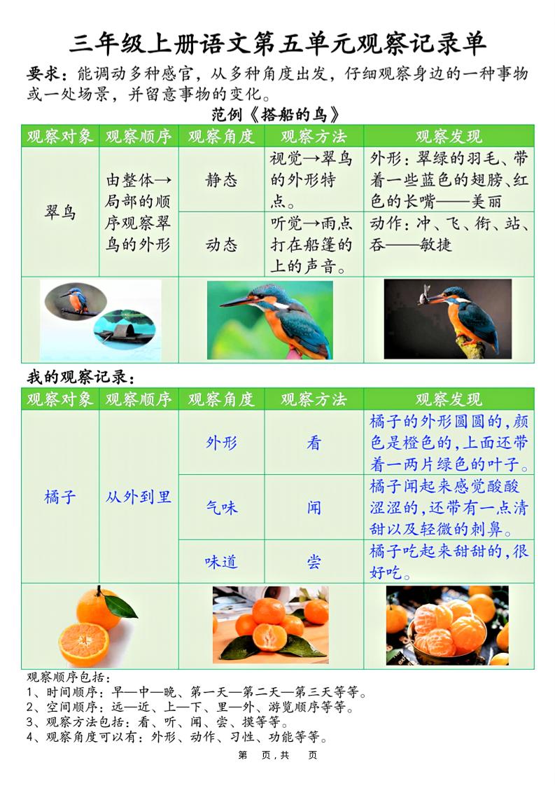三上语文第五单元观察记录单（空白+答案14页）-荆楚AI
