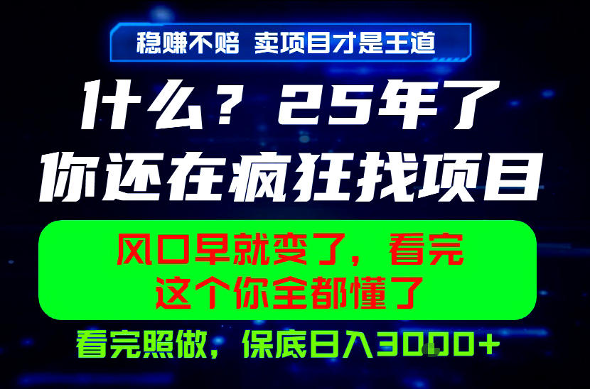 26年,请不要疯狂的找项目做了!卖项目才是真的稳賺不赔,看完照做,保底日入1k+【揭秘】-荆楚AI