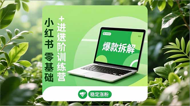 小红书零基础+高阶训练营：安全养号、爆款拆解、长效运营，实现稳定涨粉与变现小淇云库-创业网-网赚副业-网创副业-项目拆解-技术类创业资源网-副业网-免费资源下载小淇云库