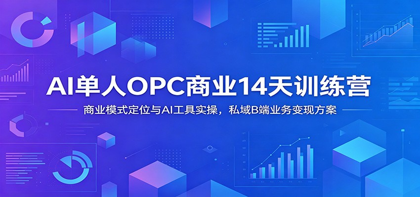AI单人OPC商业14天训练营：商业模式定位与AI工具实操，私域B端业务变现方案-荆楚AI