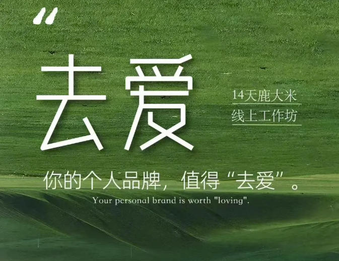 去爱14天鹿大米线上工作坊,你的个人品牌,值得“去爱”-荆楚AI