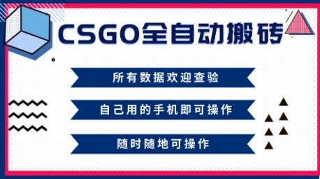 CSGO全自动搬砖，年底钱回家好项目，当天可拿到结果，新手小白轻松月入1W+【揭秘】小淇云库-创业网-网赚副业-网创副业-项目拆解-技术类创业资源网-副业网-免费资源下载小淇云库