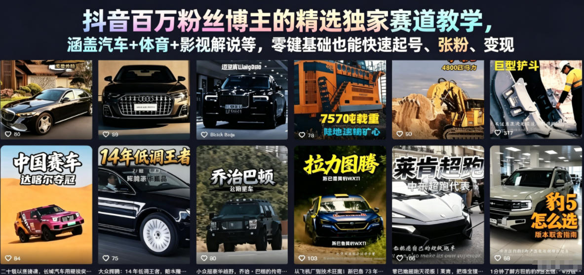 抖音百万粉丝博主的精选独家赛道教学，涵盖汽车+体育+影视解说等，零基础也能快速起号、涨粉、变现-荆楚AI