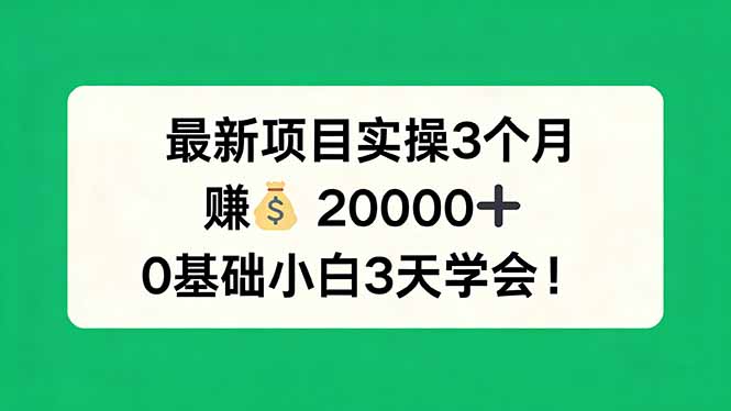 最新项目实操3个月，赚钱20000+，0基础小白3天学会！小淇云库-创业网-网赚副业-网创副业-项目拆解-技术类创业资源网-副业网-免费资源下载小淇云库