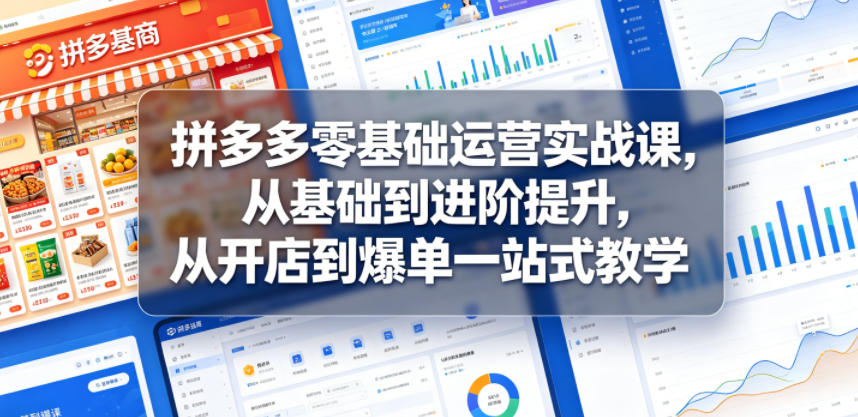 拼多多零基础运营实战课，从基础到进阶提升，从开店到爆单一站式教学-荆楚AI