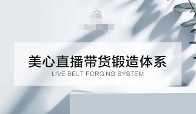 直播带货锻造体系课，5G时代美心一站式帮你开启直播带货之路【音频】小淇云库-创业网-网赚副业-网创副业-项目拆解-技术类创业资源网-副业网-免费资源下载小淇云库