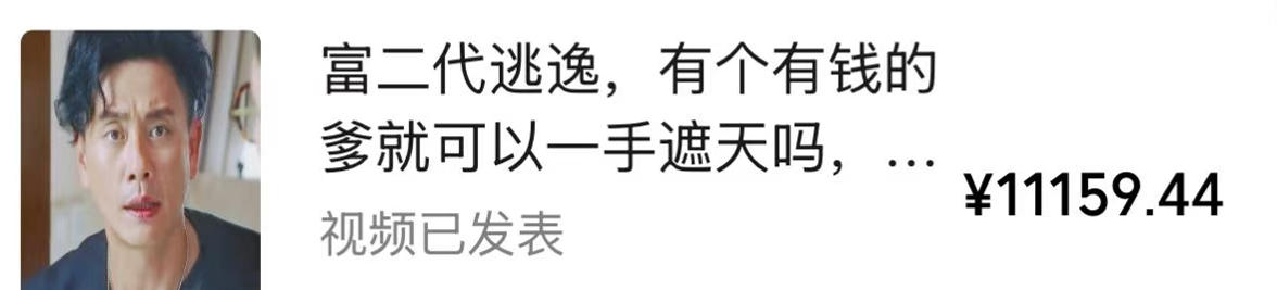 视频号某大佬的影视搬运教学，纯手法操作，可以多个平台可以发布，撸分成计划+伙伴计划+光合计划收益等-荆楚AI