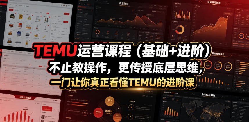 TEMU运营课程(基础+进阶)，不止教操作，更传授底层思维，一门让你真正看懂TEMU的进阶课-荆楚AI